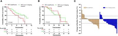 Prognosis and Concurrent Genomic Alterations in Patients With Advanced NSCLC Harboring MET Amplification or MET Exon 14 Skipping Mutation Treated With MET Inhibitor: A Retrospective Study